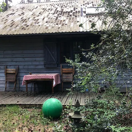 Haus Im Grunen Wildpark Hébergement de vacances Gallin